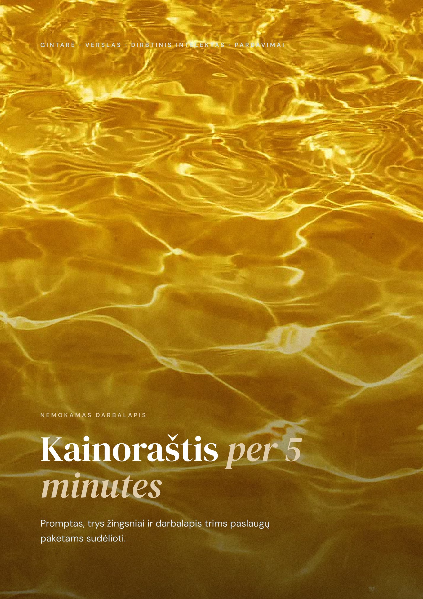 Dokumento „Kainoraštis per 5 minutes“ viršelis